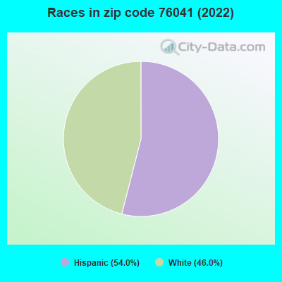 Races in zip code 76041 (2022)