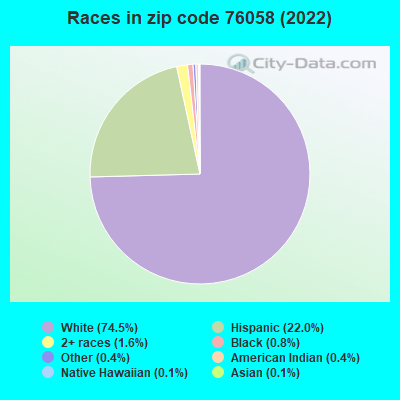 Races in zip code 76058 (2022)