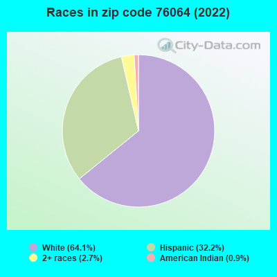 Races in zip code 76064 (2022)