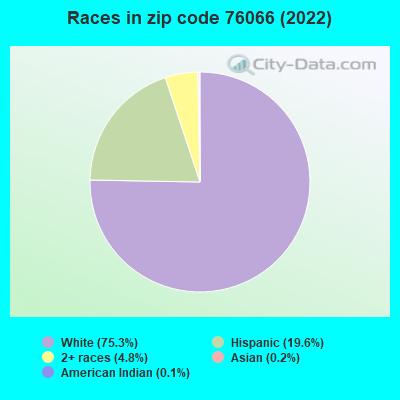 Races in zip code 76066 (2022)