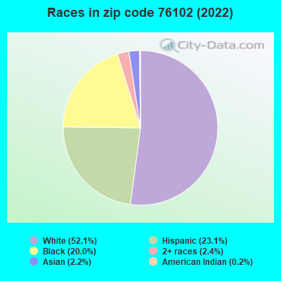 Races in zip code 76102 (2022)
