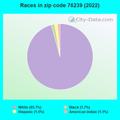 Races in zip code 76239 (2022)