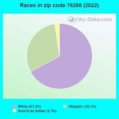 Races in zip code 76268 (2022)