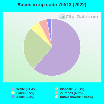 Races in zip code 76513 (2022)