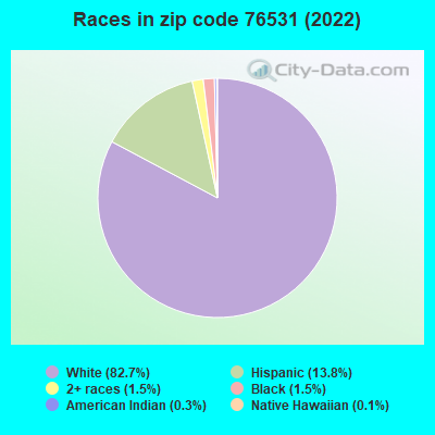 Races in zip code 76531 (2022)