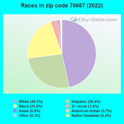 Races in zip code 76667 (2022)