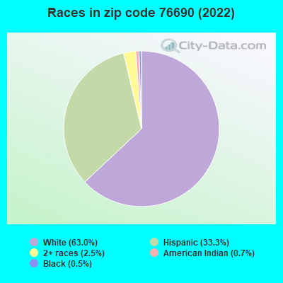 Races in zip code 76690 (2022)
