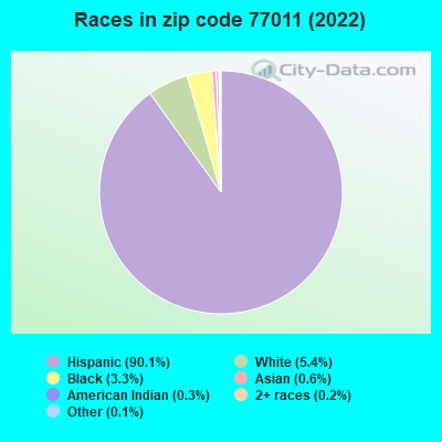 Races in zip code 77011 (2022)