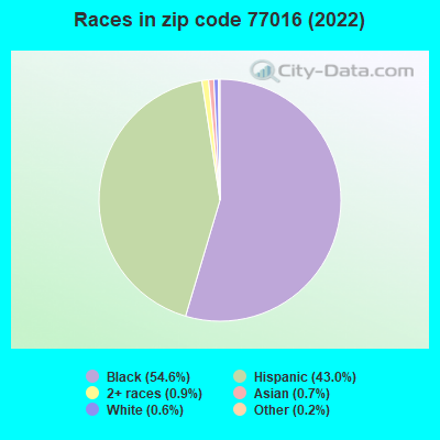 Races in zip code 77016 (2022)