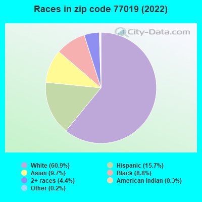 Races in zip code 77019 (2022)