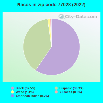 Races in zip code 77028 (2022)