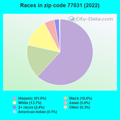 Races in zip code 77031 (2022)