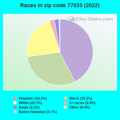 Races in zip code 77035 (2022)