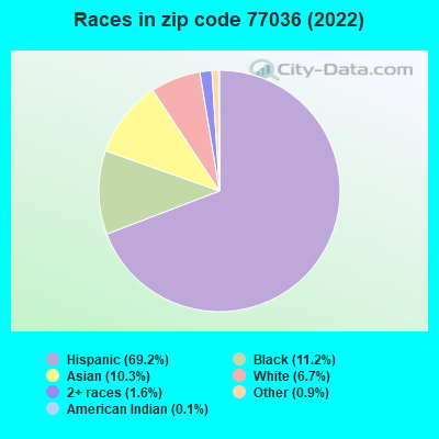Races in zip code 77036 (2022)