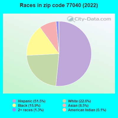 Races in zip code 77040 (2022)
