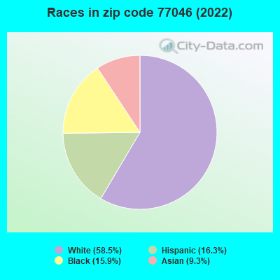 Races in zip code 77046 (2022)