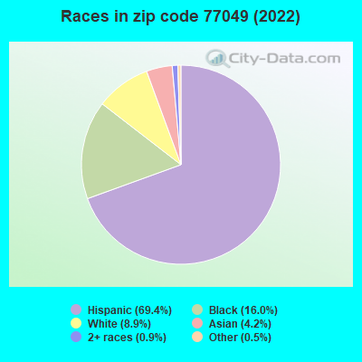 Races in zip code 77049 (2022)