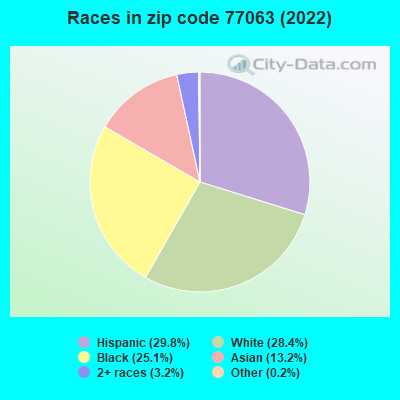 Races in zip code 77063 (2022)