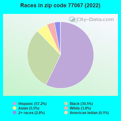 Races in zip code 77067 (2022)