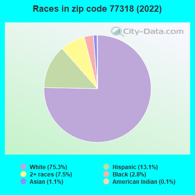 Races in zip code 77318 (2022)