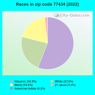 Races in zip code 77434 (2022)