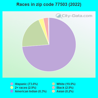 Races in zip code 77503 (2022)