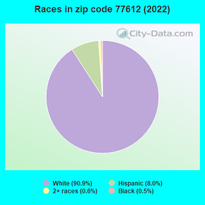 Races in zip code 77612 (2022)