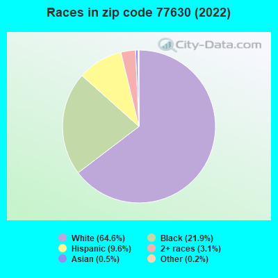 Races in zip code 77630 (2022)