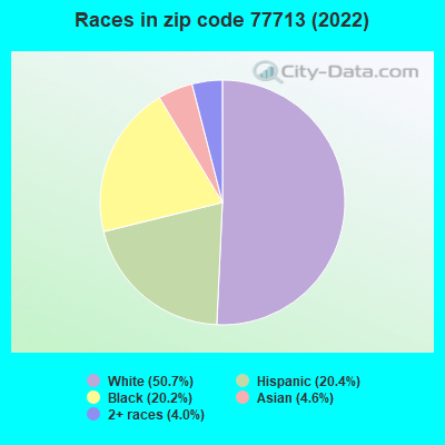 Races in zip code 77713 (2022)