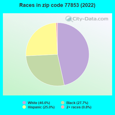 Races in zip code 77853 (2022)