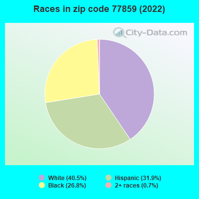 Races in zip code 77859 (2022)