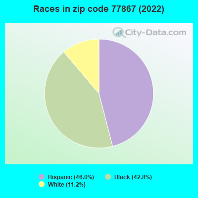 Races in zip code 77867 (2022)