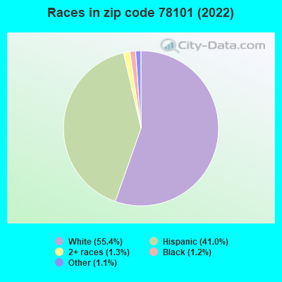 Races in zip code 78101 (2022)