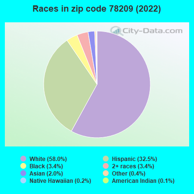 Races in zip code 78209 (2022)