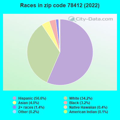 Races in zip code 78412 (2022)