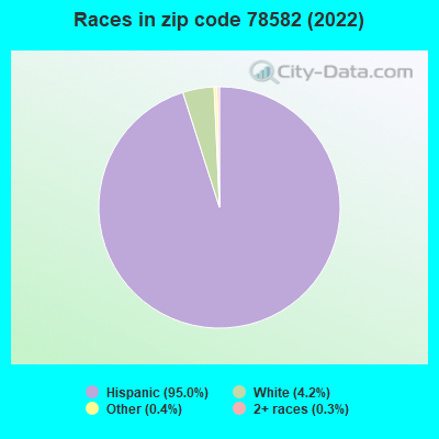 Races in zip code 78582 (2022)