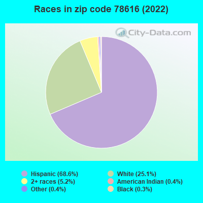 Races in zip code 78616 (2022)