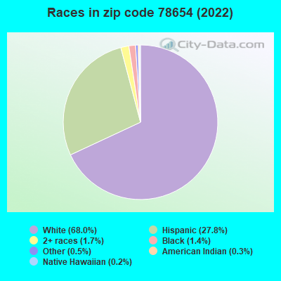 Races in zip code 78654 (2022)