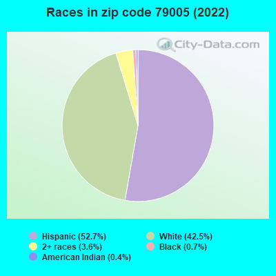 Races in zip code 79005 (2022)