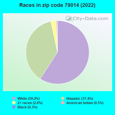 Races in zip code 79014 (2022)
