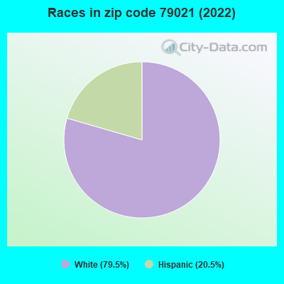 Races in zip code 79021 (2022)