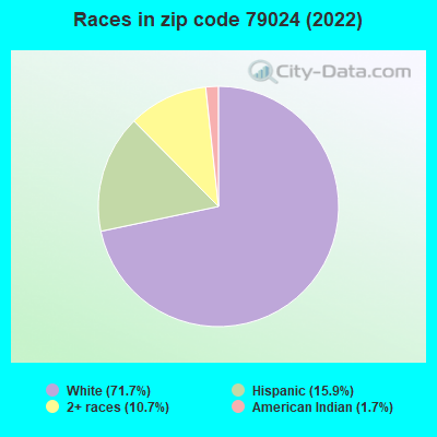 Races in zip code 79024 (2022)