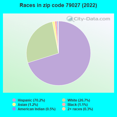 Races in zip code 79027 (2022)