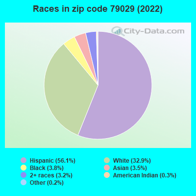 Races in zip code 79029 (2022)
