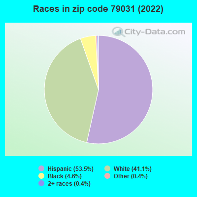 Races in zip code 79031 (2022)