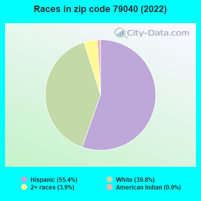 Races in zip code 79040 (2022)