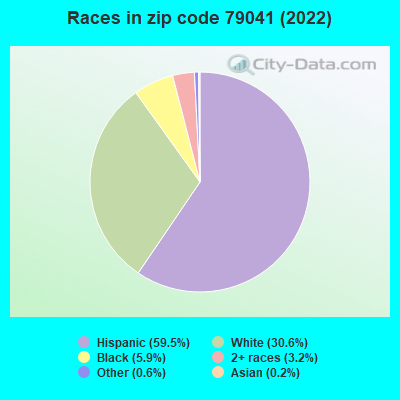 Races in zip code 79041 (2022)