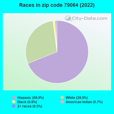 Races in zip code 79064 (2022)