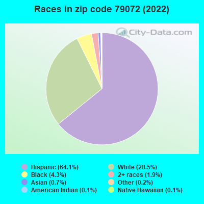 Races in zip code 79072 (2022)