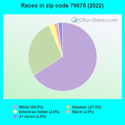 Races in zip code 79078 (2022)